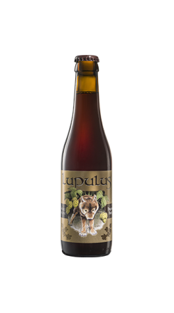 Lupulus Brune Lupulus Brune