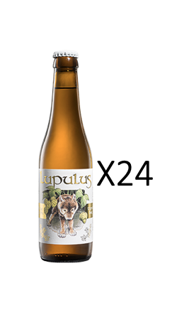 24 x Lupulus Blonde 24 x Lupulus Blonde