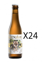 24 x Lupulus Blonde