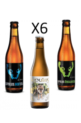 Pack Lupulus Hopera, Blonde, Organicus