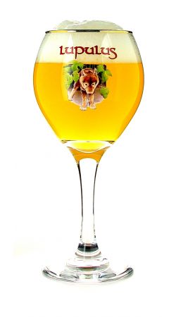 Verre 25cl bière LUPULUS